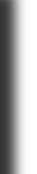    sb right-middle-shadow.gif covers lime  